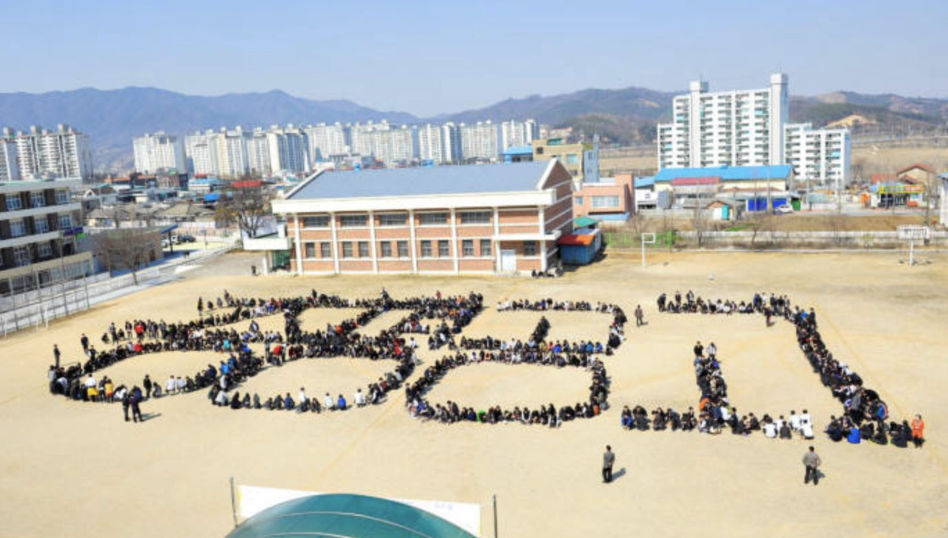 지역사회 활동 예시